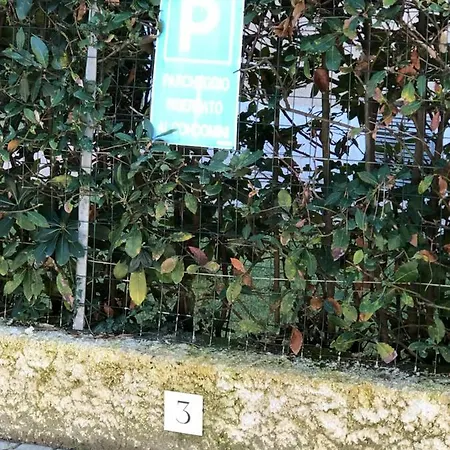 Apartamento Grazioso 100 Metri Dal Mare Lido di Camaiore